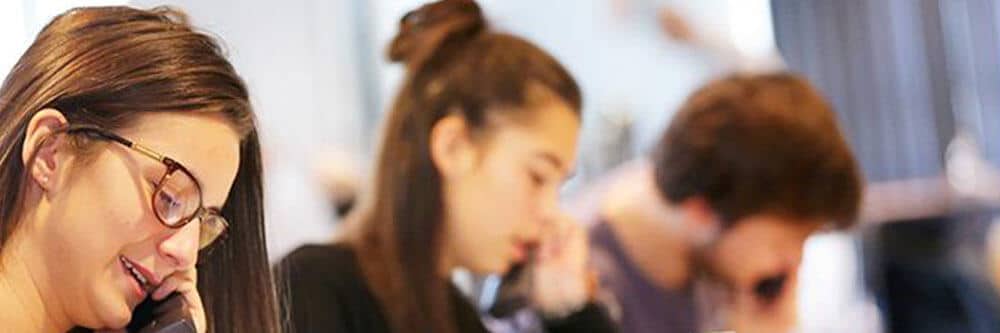 AFM-Telethon : A synergy between business processes and information technology functionalities 