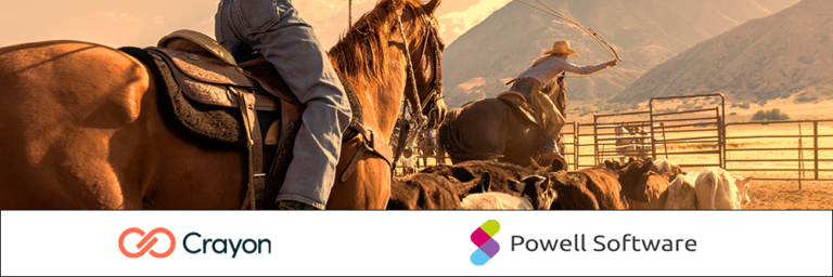 Microsoft Teams Wildwuchs meistern mit Crayon und Powell Software