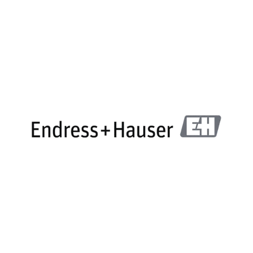 logo endress hauser